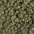Greenhouse THCa Smalls 