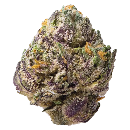 Burst THCa Flower supergreenshempco