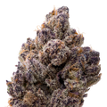 Berry Blender THCA Flower macro