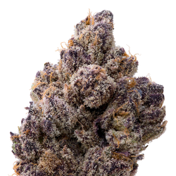 Berry Blender THCA Flower macro