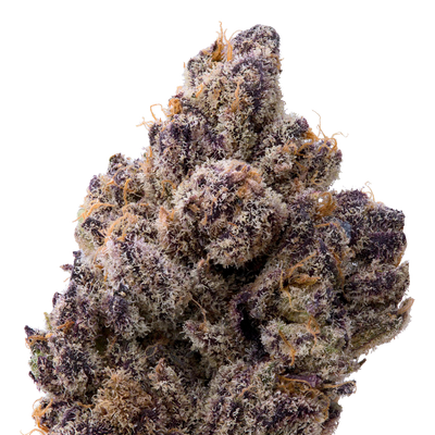 Berry Blender THCA Flower macro