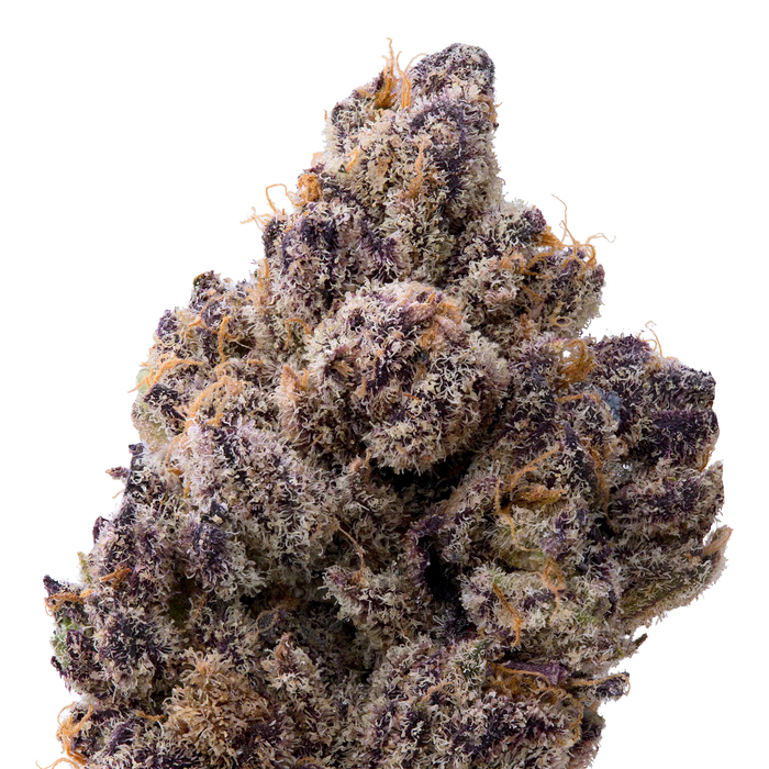 Berry Blender THCA Flower macro