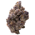 Berry Blender THCA Flower 