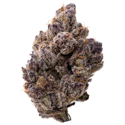 Berry Blender THCA Flower nug