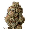 Betty Ford THCA Flower macro