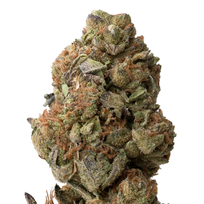 Betty Ford THCA Flower macro