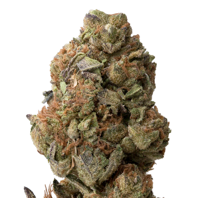 Betty Ford THCA Flower macro