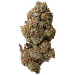 Betty Ford THCA Flower