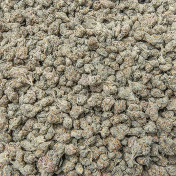 Black cherry Gelato Smalls THCa Flower supergreenshempco