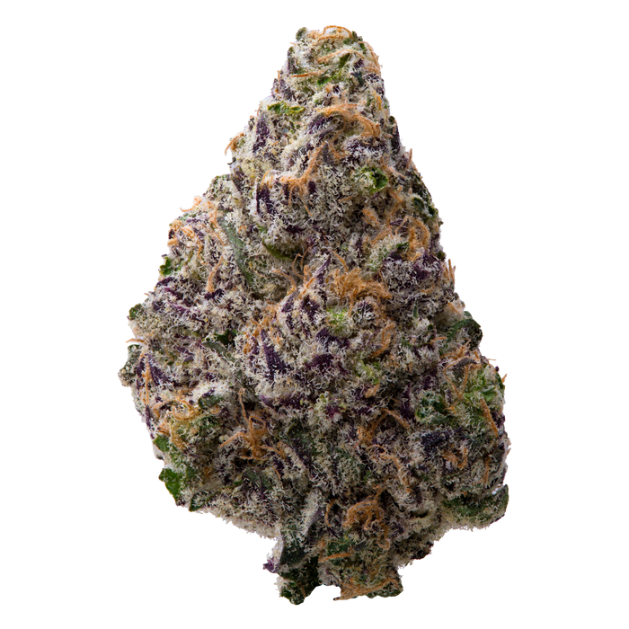 Black Amber THCA Flower nug