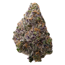 Black Amber THCA Flower nug