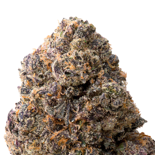 black mamba macro