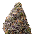 Black Amber THCA Flower macro