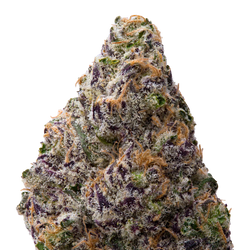 Black Amber THCA Flower macro
