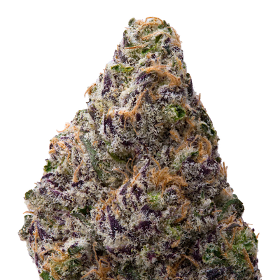 Black Amber THCA Flower macro
