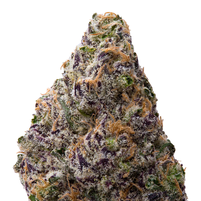 Black Amber THCA Flower macro