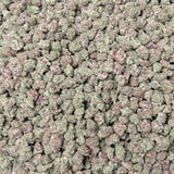 Blizzard Berry Smalls THCA Flower Ounce