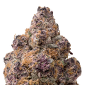 Blockberry THCA Flower macro