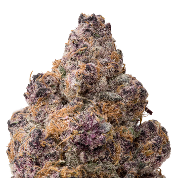 Blockberry THCA Flower macro