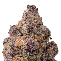 Blockberry THCA Flower macro
