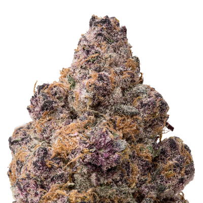 Blockberry THCA Flower macro