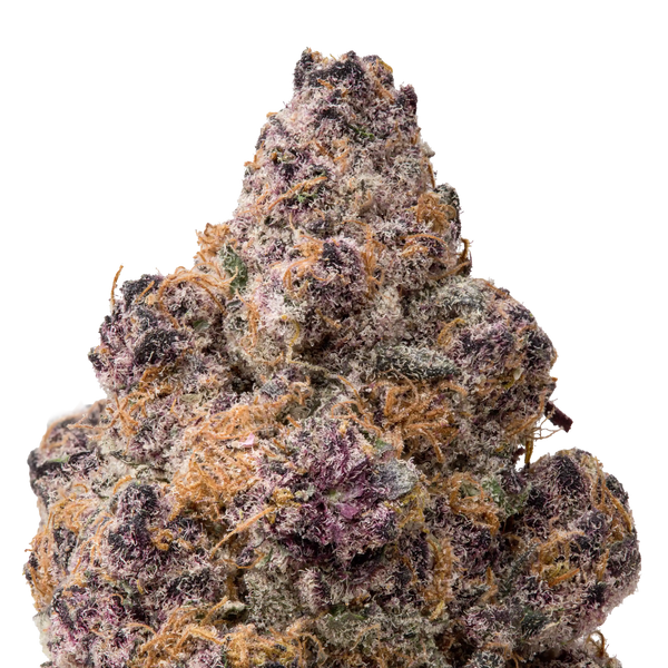 Blockberry THCA Flower macro