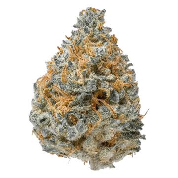 Blue dream Smalls THCa Flower supergreenshempco