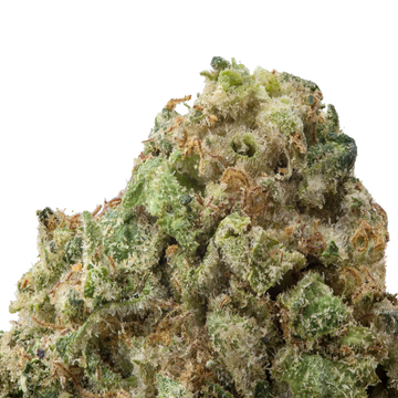 Blue Dream THCA Flower macro