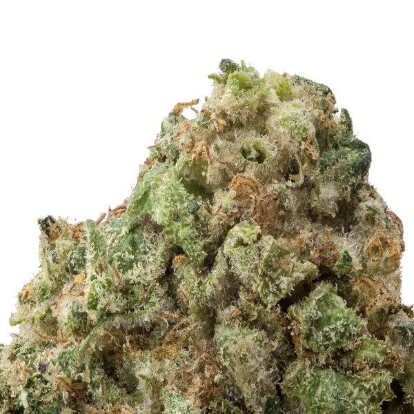 Blue Dream THCA Flower macro