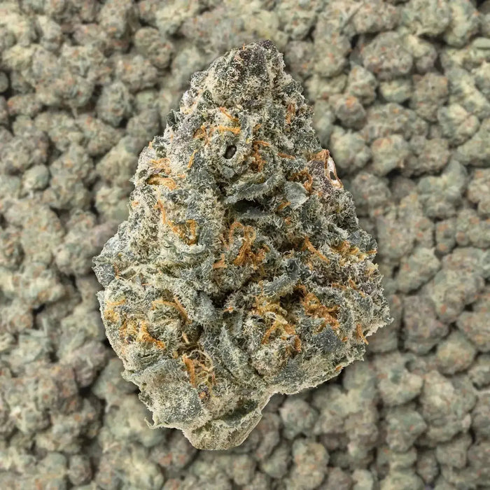 Blue Lobster Smalls THCa Flower supergreenshempco