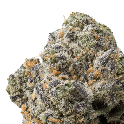 Blue Nerdz THCa Flower 