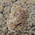 Blue Zooties THCa Flower supergreenshempco