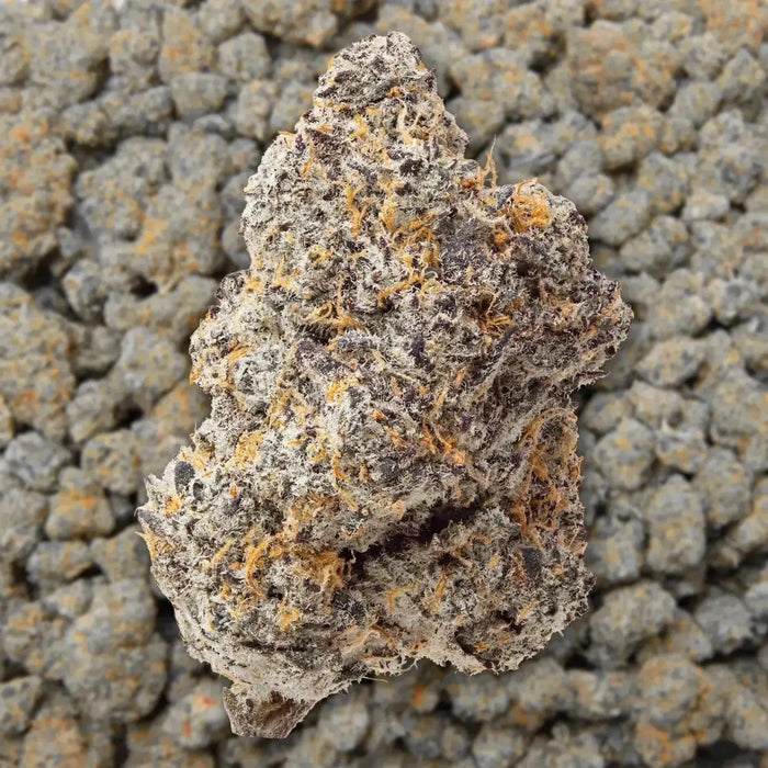 Blue Zooties THCa Flower supergreenshempco