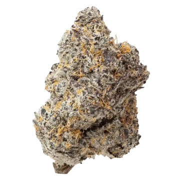 Blue Zooties THCa Flower Ounce supergreenshempco