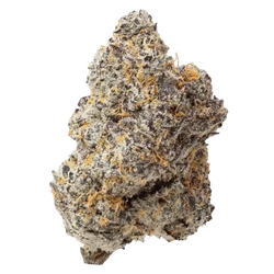 Blue Zooties THCa Flower Ounce supergreenshempco