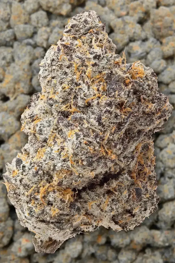 blue zooties thca flower zoomed