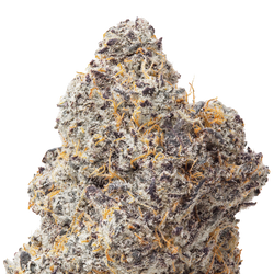 Blue Zooties THCa Flower macro