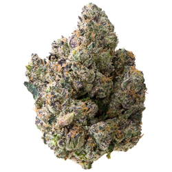 Blue Runtz nug