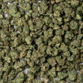 Greenhouse THCa Smalls 