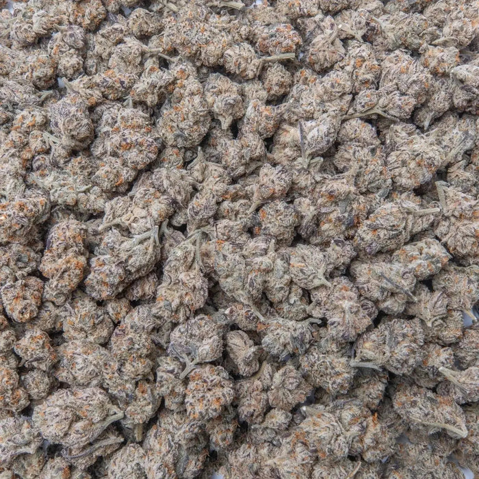 Burnout Cookies THCa Flower supergreenshempco