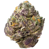 Burst Smalls THCa Flower