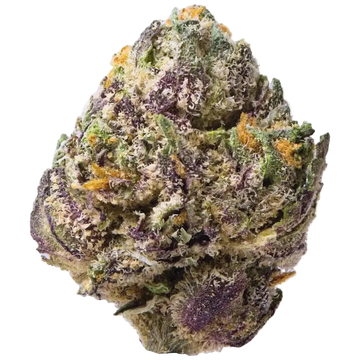 Burst Smalls THCa Flower 