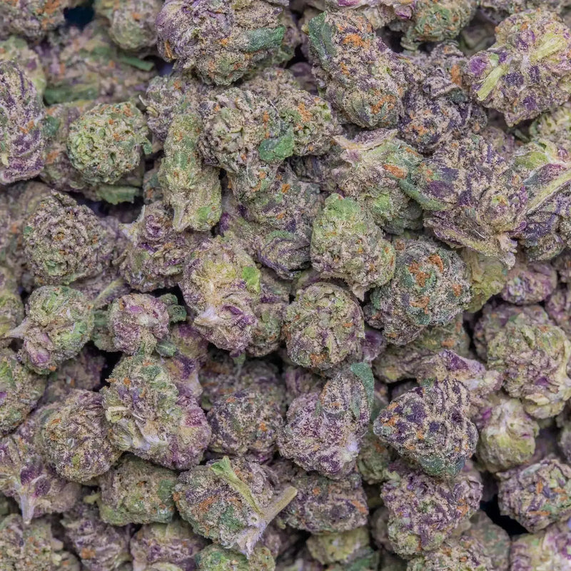 Burst Smalls THCa Flower