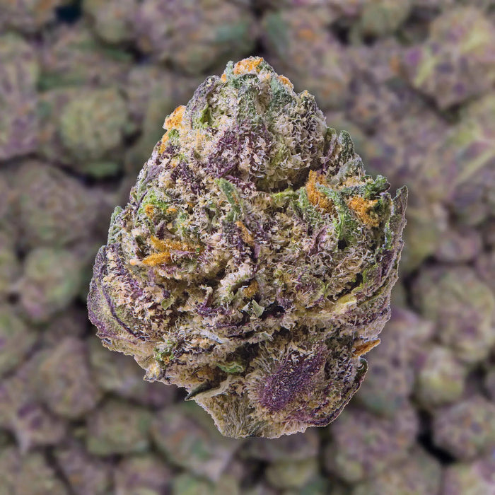 Burst Smalls THCa Flower