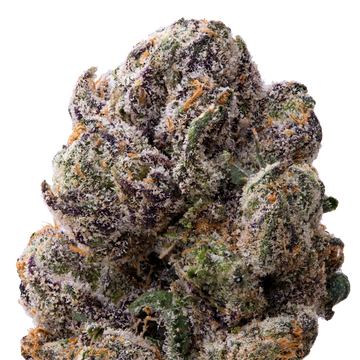 Curelato THCa Flower macro