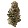Candyland Greenhouse THCa Flower