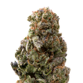 Candyland Greenhouse THCa Flower | 28 Grams 