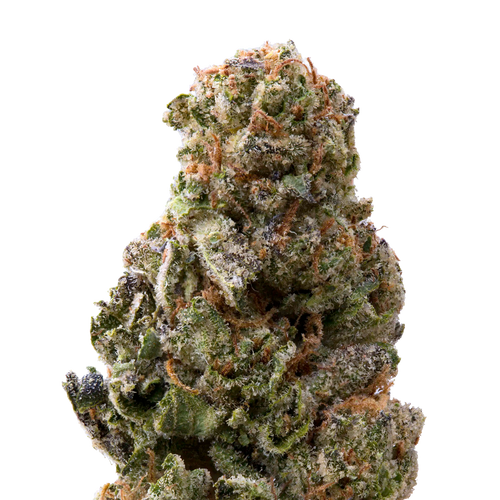 Candyland THCa Flower | 28 Grams