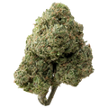 Cherry Gelato Greenhouse THCa Flower | 28 Grams 
