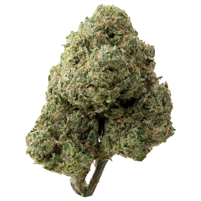 Cherry Gelato Greenhouse THCa Flower | 28 Grams 